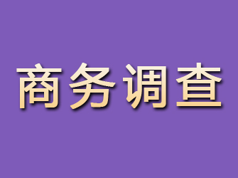 北安商务调查